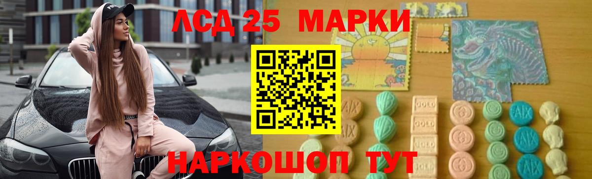 A PVP Дагестанские Огни