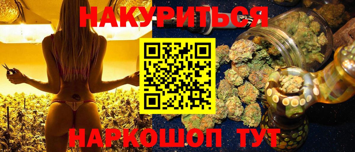 Конопля план  Вход с VPN  МАРИХУАНА гибрид  Дагестанские Огни  МАРИХУАНА сатива 
